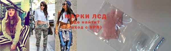 стаф Алзамай