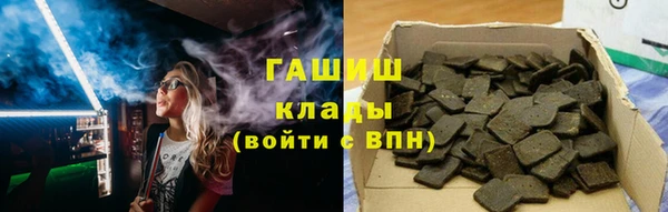 стаф Алзамай