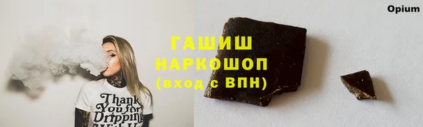 apvp Алексин