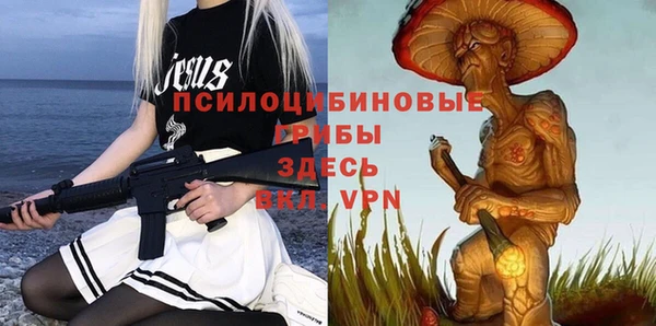 СК Алексеевка