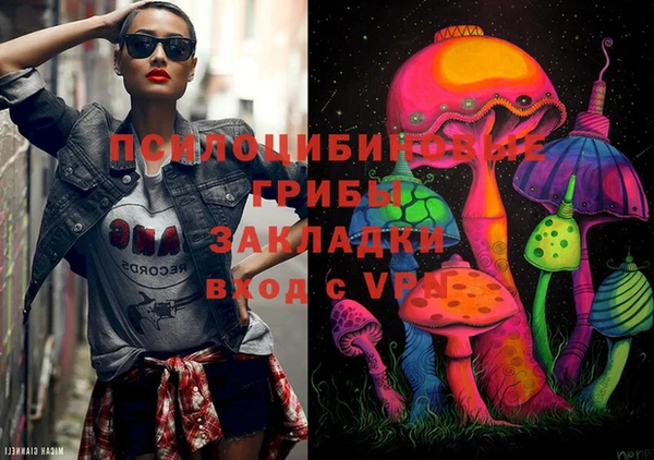 apvp Алексин