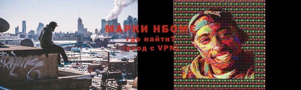 стаф Алзамай